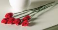 thumbnail_6541.jpg