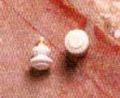 thumbnail_hw1115.jpg