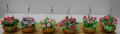 thumbnail_tmt-flc-02.jpg