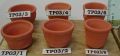 thumbnail_tmt-tp-003.jpg