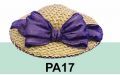 thumbnail_bt-pa17.jpg