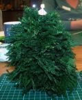 thumbnail_ws-xmastree.pg.jpg