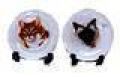 thumbnail_mm-cat04.jpg