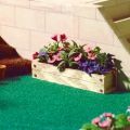 thumbnail_6561.jpg