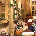 thumbnail_3553.jpg