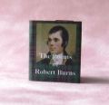 thumbnail_Robert Burns, Poems of.jpg