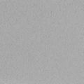 thumbnail_8503.jpg