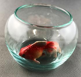 1:6 Fish in Bowl (40mmT x 55mm Diam)