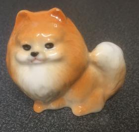 1:6 Pomeranian Dog (Price Each) (40H x 50Wmm)
