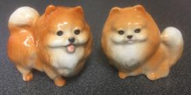 1:6 Pomeranian Dog (Price Each) (40H x 50Wmm)