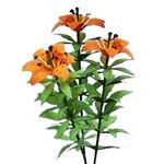 Flower Kit Lily Orange (6 Flowers)