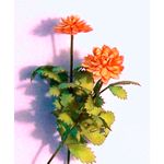 Flower Kit Dahlia Orange (6 Flowers)