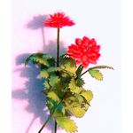 Flower Kit Dahlia Red (6 Flowers)