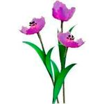 Flower Kit Tulips Purple (12 Flowers)