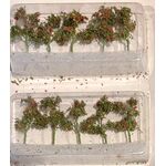 Tomatoes - 1 1/2" High - 6Pk