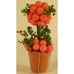 Topiary Tree Oranges (50Hmm)