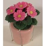 Pink Daisies in Small Pink Pot (35H)