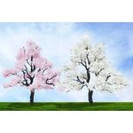 Cherry Blossom Tree - 3" - 4" High. 2 per Pack
