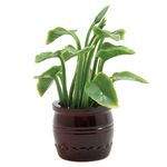 Plant in Brown Pot (1-1/2" W x 2" H X 1-1/2" D)