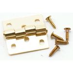 Butt Hinges with Nails, Brass, 4/Pk (10L x 8Wmm Open)