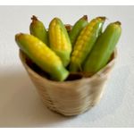 Basket of Sweetcorn (Basket 20 x 20mm)