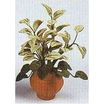 Flowers Green Foliage (70mmH)