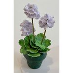 Potted Geraniums White by Kathy Brindle (About 35mmH)