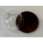 Cloche / Dome on Brown Board (35mm Diameter)