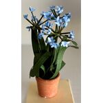 Pot with Flowers by Kathy Brindle (70Hmm)