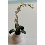 Potted Orchids by Kathy Brindle (22 Diam x 65Hmm)