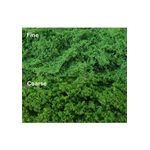 Clump Foliage Light Green Fine (Pack 150 Square Inches)