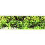 Foliage Clusters Light Green Coarse (Pack 150 Square Inches)