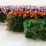 Mixed Hedges 6/Pack (5" x 1/8" x 3/8" Height)