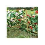 2 1/2"H Climbing Roses 6 Pack