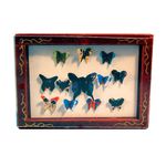 Butterfly Box (54 x 40 x 6mm)
