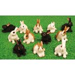 Rabbits Set of 12 Assorted