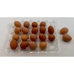Tray / Pallet of Eggs (Tray:43 x 36mm, Egg:6 x 8mm)