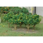 Lemon Tree Grove - 1 1/4" High - 6Pk