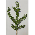 Vine by Kathy Brindle (120mmL)