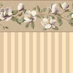Wallpaper Magnolia - Beige - Stripe (267 X 413mm)