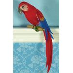 Timothy the Macaw Parrot (25Wx30Dx120Hmm)