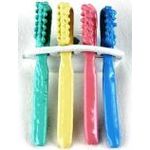 Tooth Brush Holder with Toothbrushes (2 3/8"H x 3/4"W)