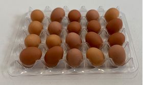Tray / Pallet of Eggs (Tray:43 x 36mm, Egg:6 x 8mm)