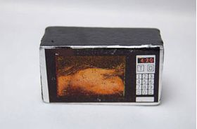 Wood Microwave Oven (45W x 21D x 24Hmm)