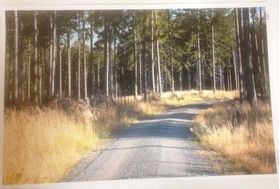 Muriel Wallpaper (267 X 413mm)