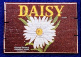 Full Crate Kit - Daisy (45W x 25D x 32Hmm)