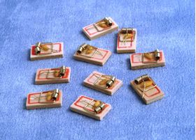 Mouse Traps Pk10