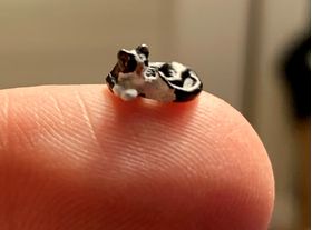 1:48 Scale Cat, Socks (9mmL)