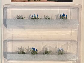 Muscaris 15mm High