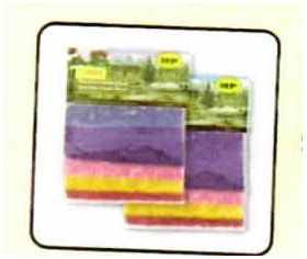 Blossom Flowering Turfs Fine Red, Pink, Purple and Yellow (Pack 9 Cubic Inches)